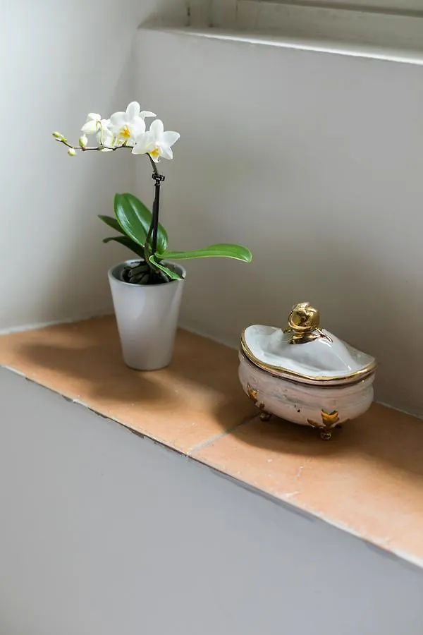 Apartment Trastevere - Mantellate Home-Ospedale Bambin Gesu Rome Italy